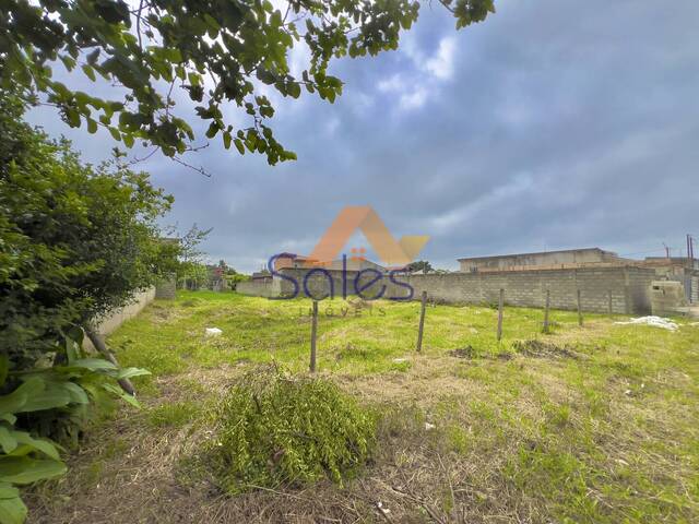 #737 - Terreno para Venda em Tremembé - SP - 3